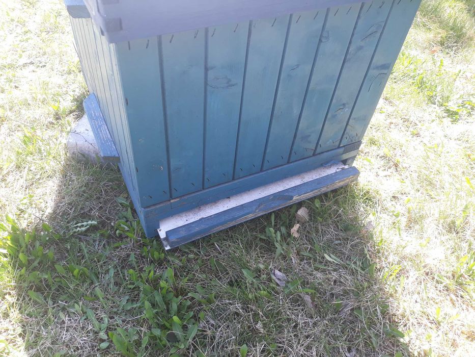 Ul Dadanta ocieplany 10-ramkowy korpusowy od Sułkowskiego