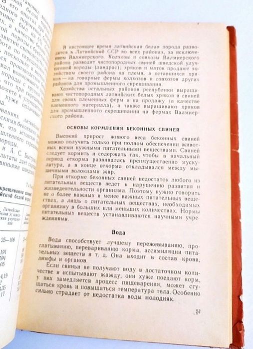 СВИНОВОДСТВО Беконное свиноводство руководство справочник Бренцис