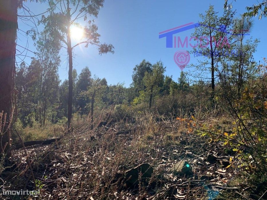 Rustic Plot in Vila Facaia