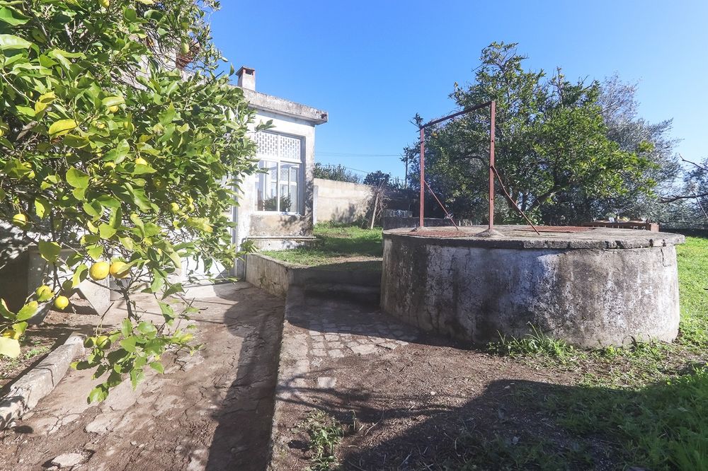 Moradia com quintal no Alentejo