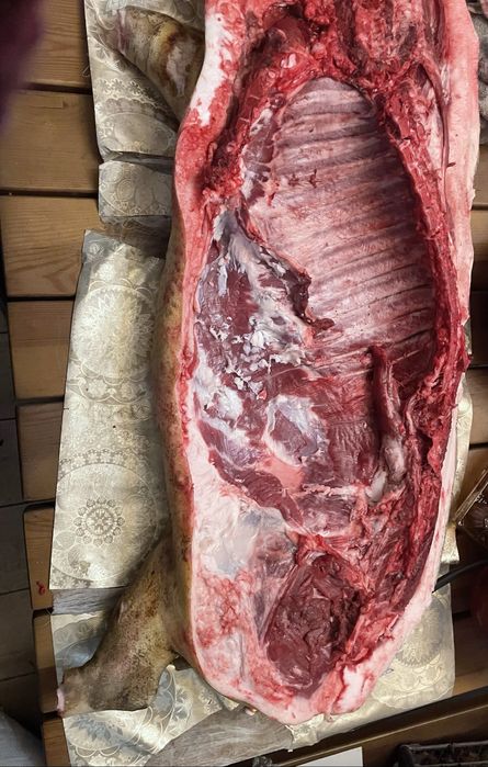 Мясо живою вагою