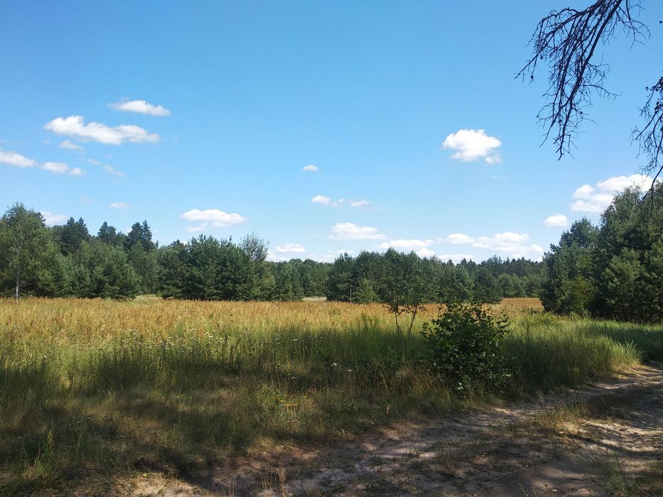 Продам участок в кооперативі Букач