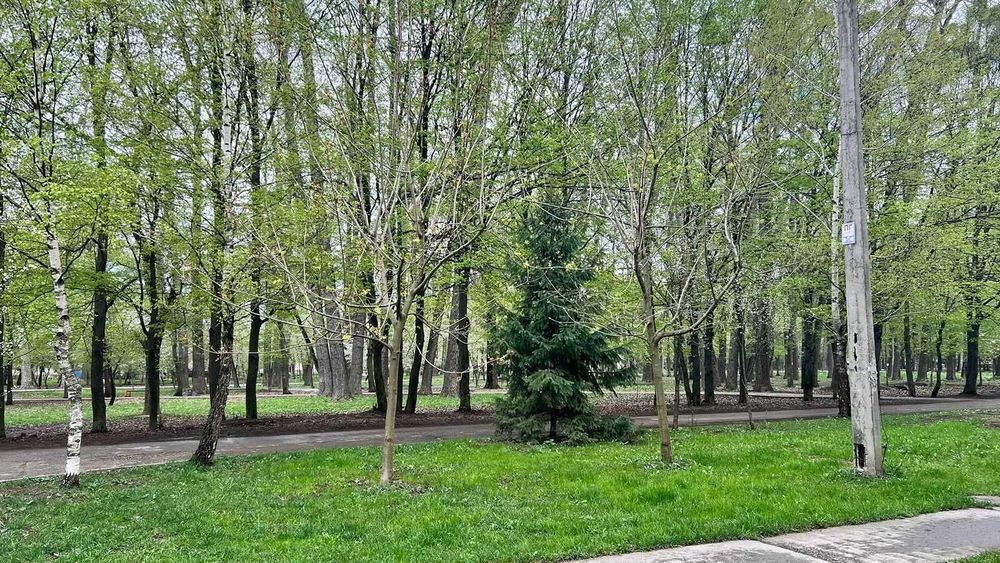 Квартира в охайному житловому стані — можна заїжджати без зайвих витрат
