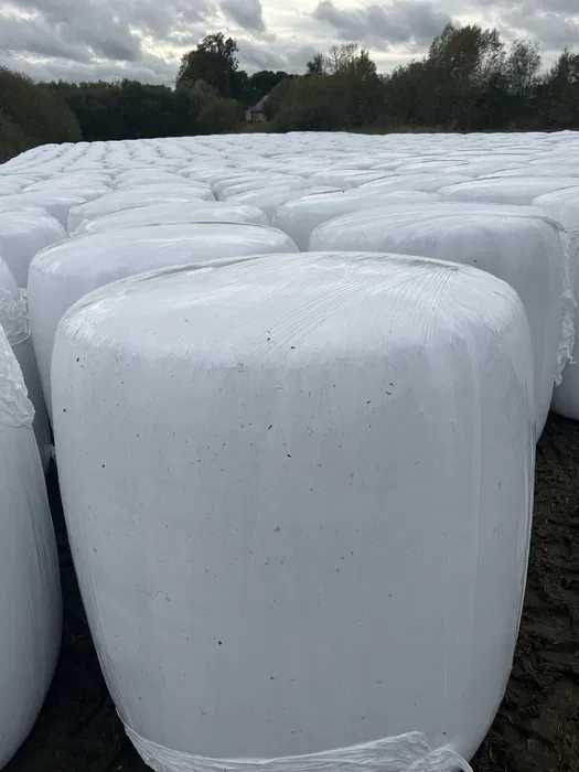 BELE z kukurydzy-wysłodka buraczna zbiór 2025 Bele / Baloty MIWIND