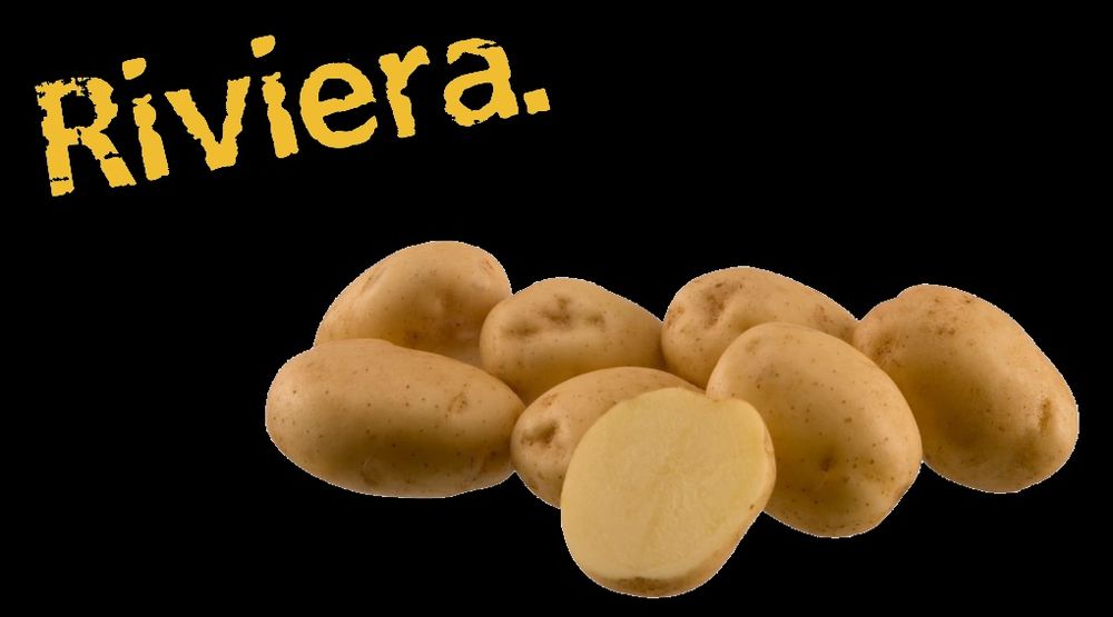 Riviera po centrali 55+.