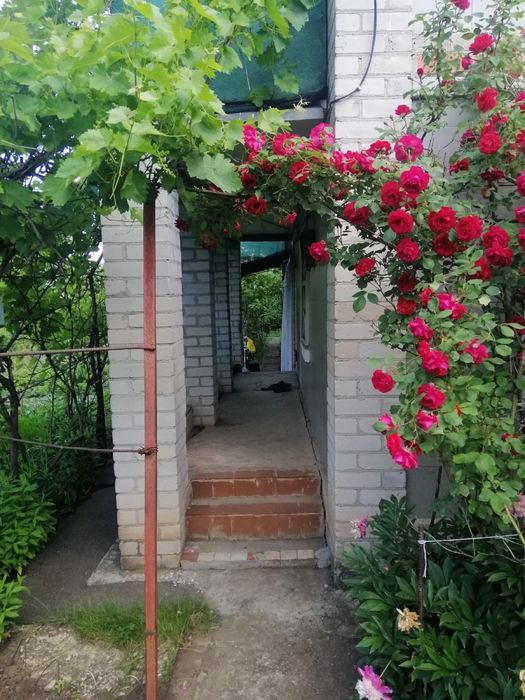 Продається дачна ділянка з будинком