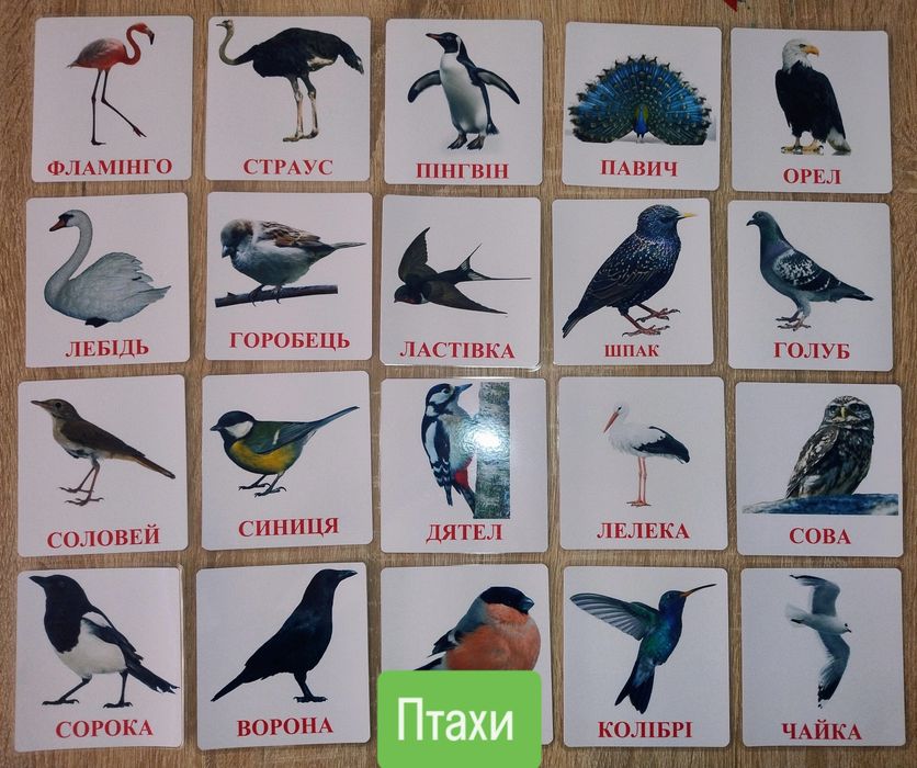 Картки Домана, розвиваючі картки, картки від 0 років