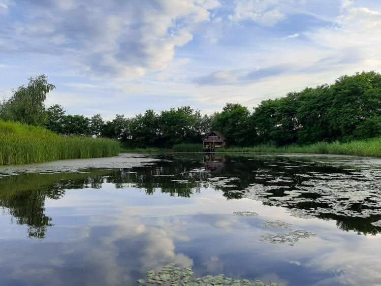 Продається озеро з земельною ділянкою