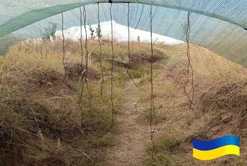 Антидронова штора сітка 6х3м для захисту Паракорд 5мм Темно зелений