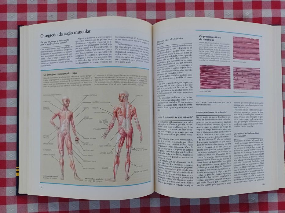 Livro ABC do Corpo Humano