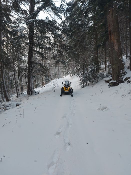 Прокат снігоходів СНІГОХОДИ Татарів Микуличин Буковель Яремче Ворохта
