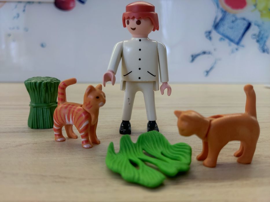 PLAYMOBIL Country - rude koty i farmer
