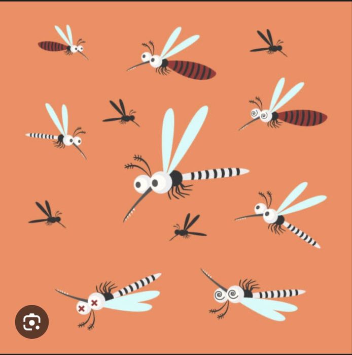 Usługi DDD.Odkomarzanie,odkleszczanie, usuwanie gniazd os i szerszeni.