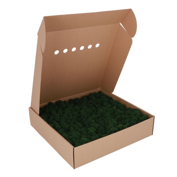 Стабілізаційний Мох. Cкандинавський Ягель