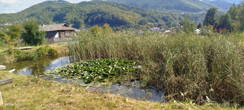 Будинок з ставком у Карпатах