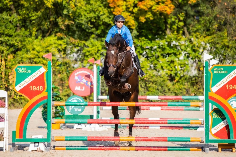 Jazda konna.Treningi sportowe.