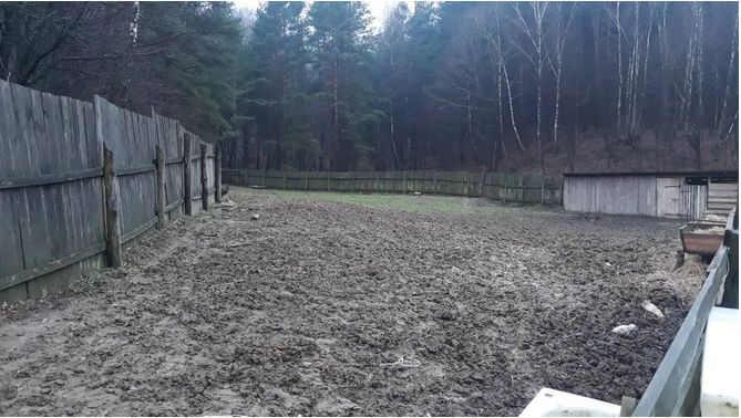 Приватне господарство с. Стіжок Тернопільська область