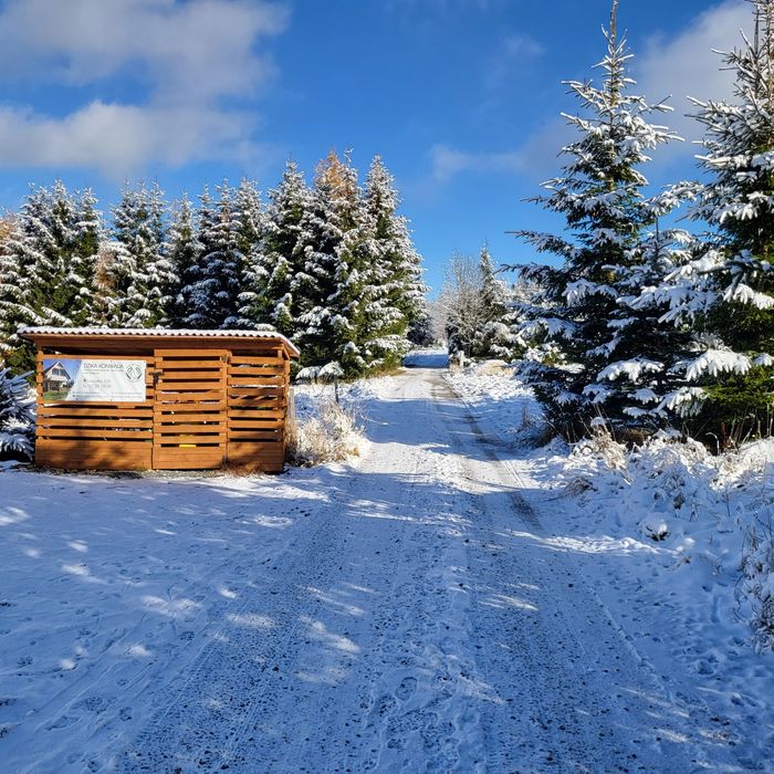Ferie w Górach - Zieleniec Ski Arena Lasówka 37A