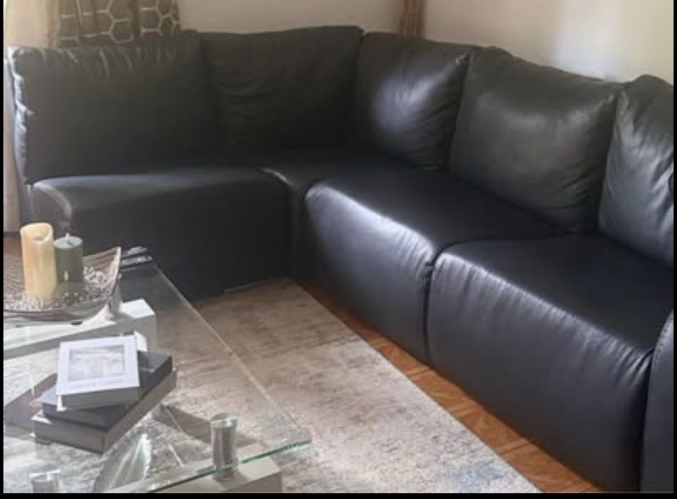 Sofa   Semi Pele