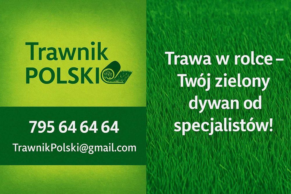 Trawa w rolce, trawa z rolki, trawa, trawnik rolowany - TRAWNIK POLSKI