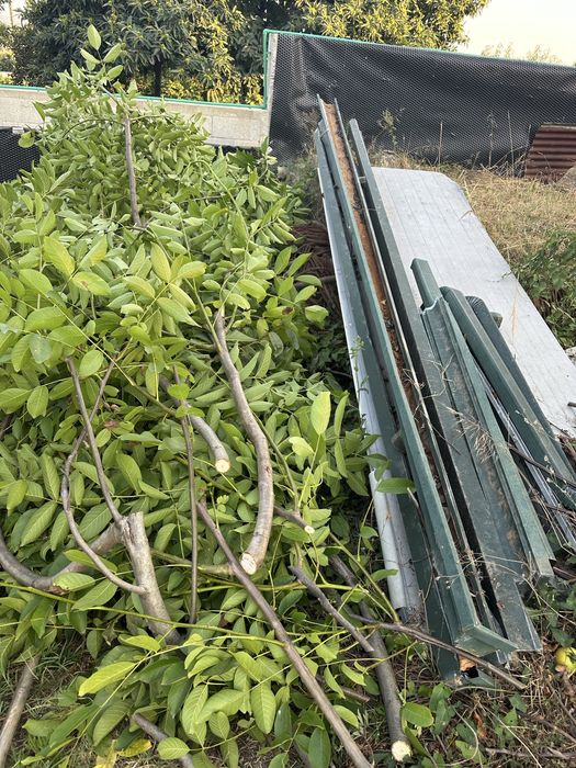 Vendo caleiros verdes