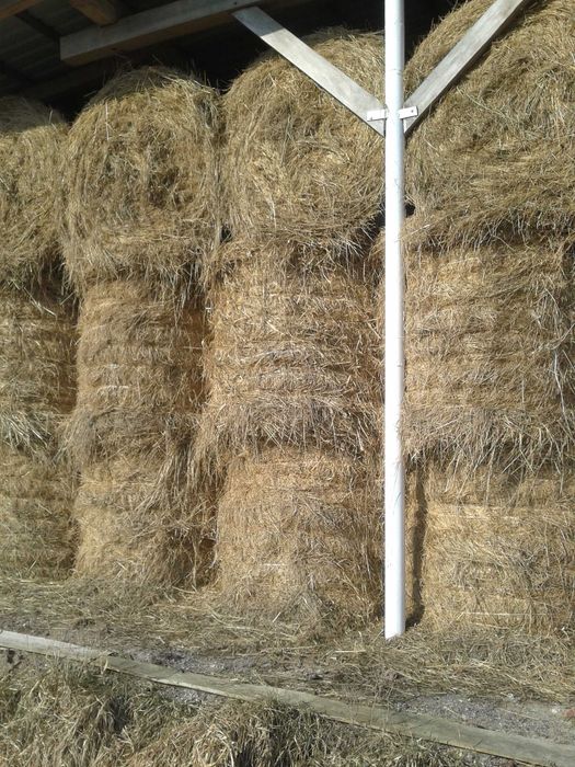Sprzedam siano w balotach