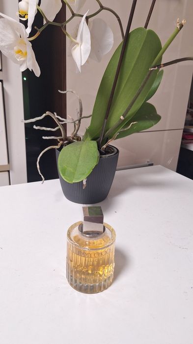 Perfumy Jimmy Chood