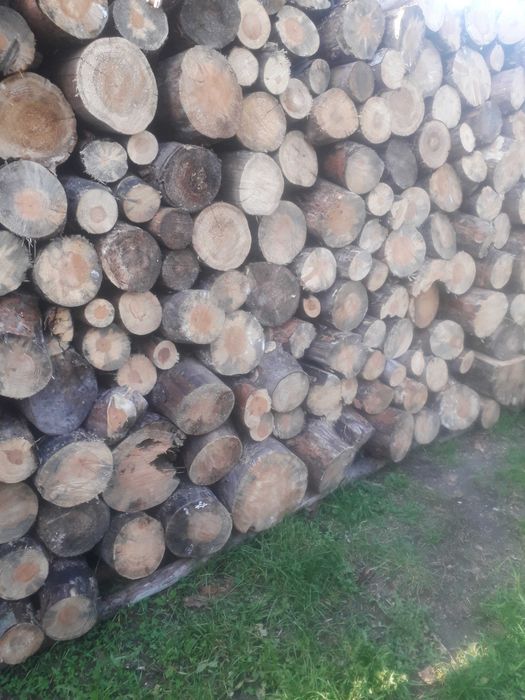 Drewno opaĺowe,kominkowe