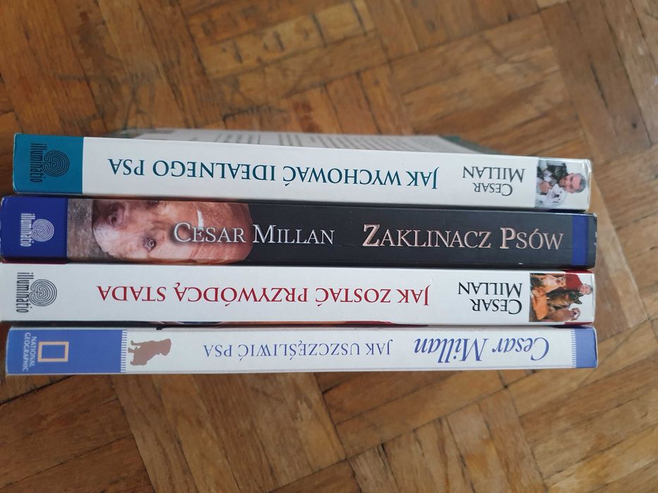 SUPER STAN Cesar Millan, Jak Zostać/Jak Uszczęślowic/Zaklinacz