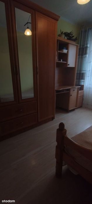 Zdjęcie 8