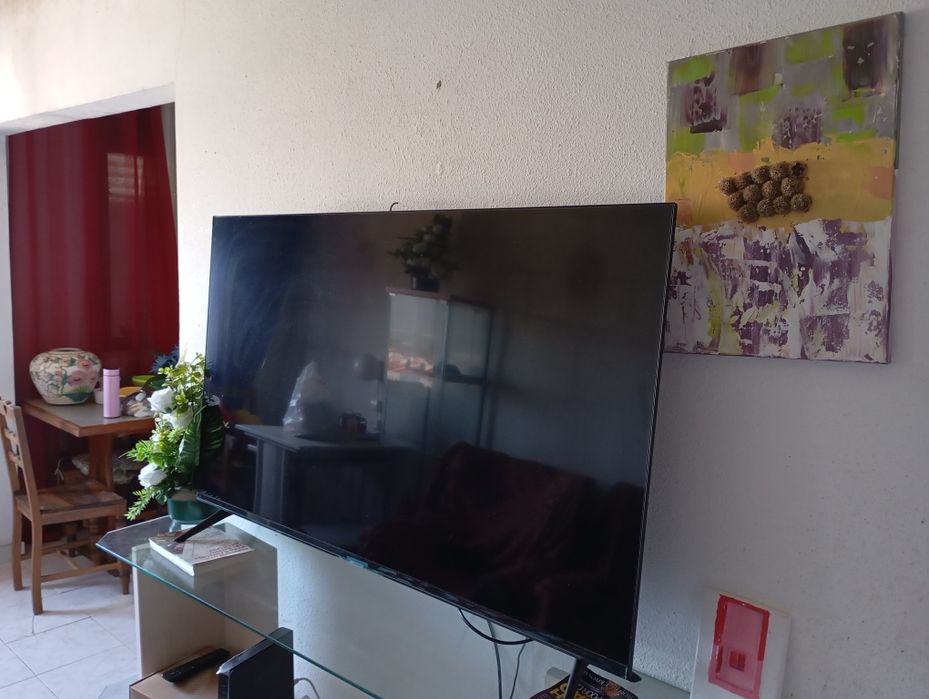 TV plasma, frigorífico, fogão e máquina de levar