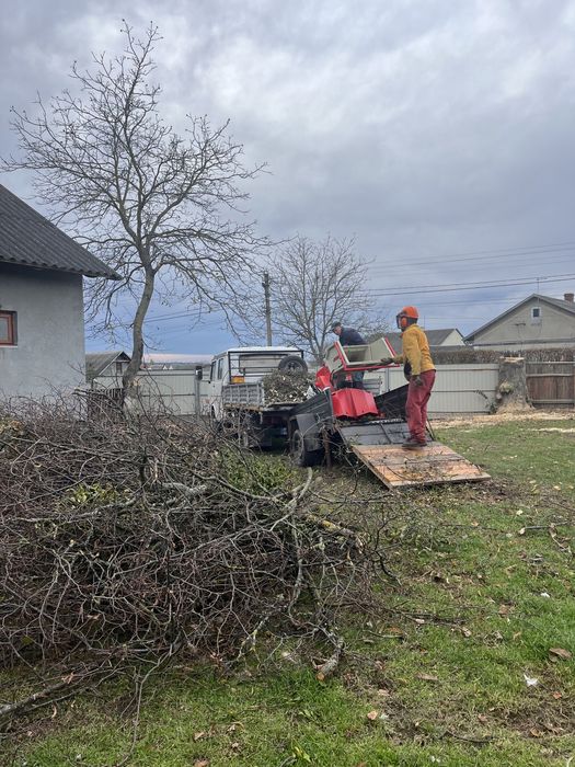 Подрібнення гілок, вивіз гілок, зрізати дерево, зрізання дерев