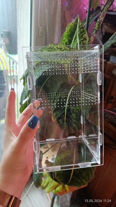 terarium dla pająka akrylowe z wyposażeniem