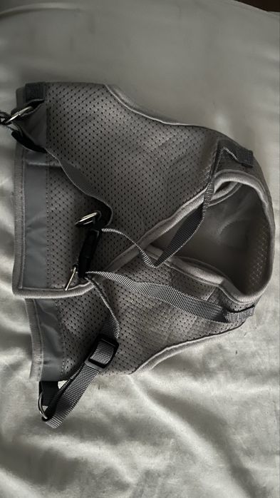 Світловідбиваючі шлейки та повідець для домашніх собак, котів