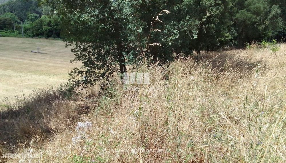 Venda de Terreno de construção, Vilar Mouros, Caminha — Venade E Azevedo, Viana do Castelo