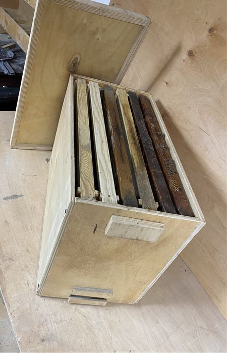 Рійниця для ловлі бджіл