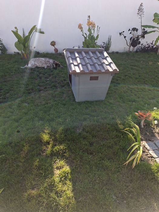 Casota para Cão praticamente nova!