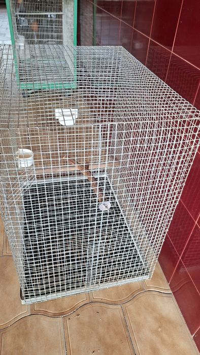 gaiola para passaros artesanal