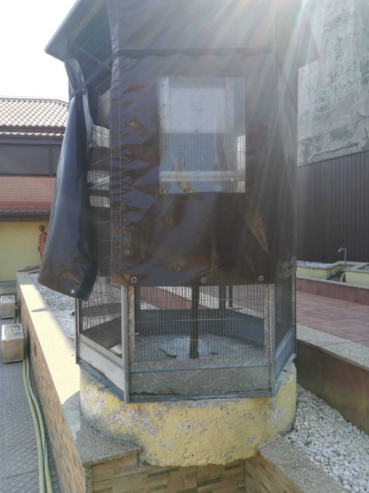 Gaiola pássaros 2 metros altura, 130cm largura