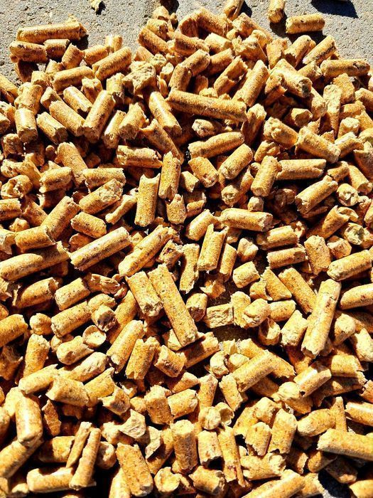 Sprzedaż Pelletu DREWAR – najwyższa jakość ENPLUS A1 Pellet Premium