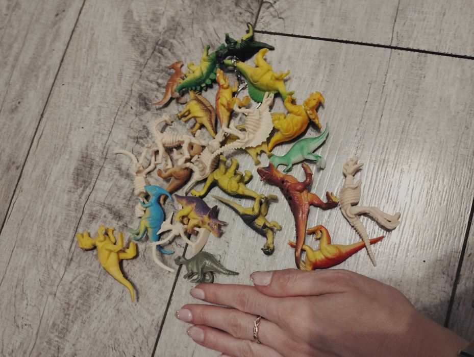 Figurki dinozaurów i szkielety