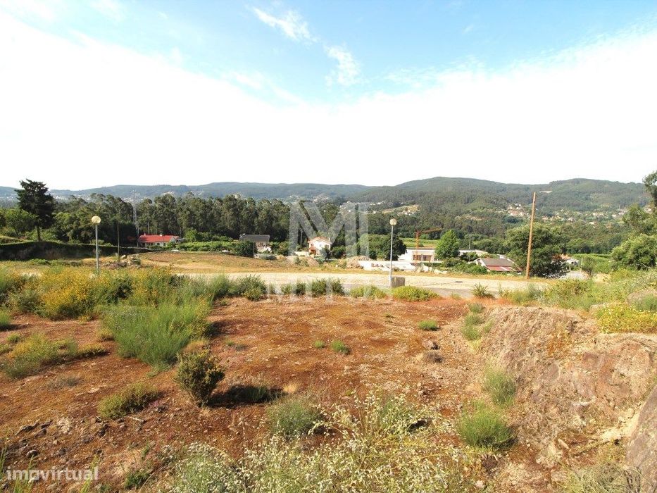Plot in Carvoeiro