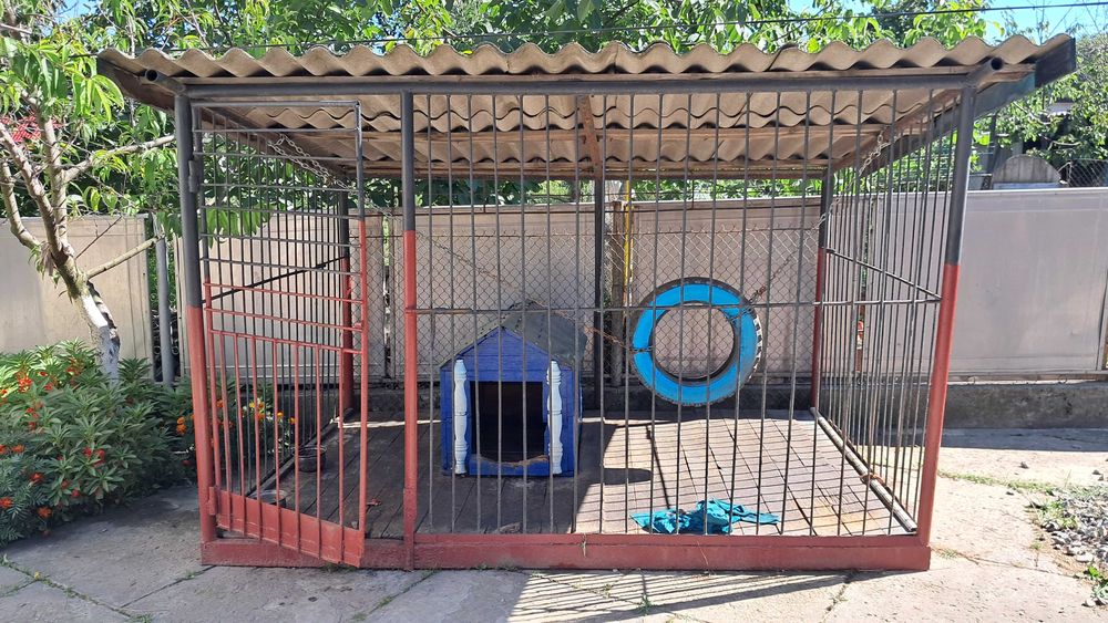 Вязка кане корсо