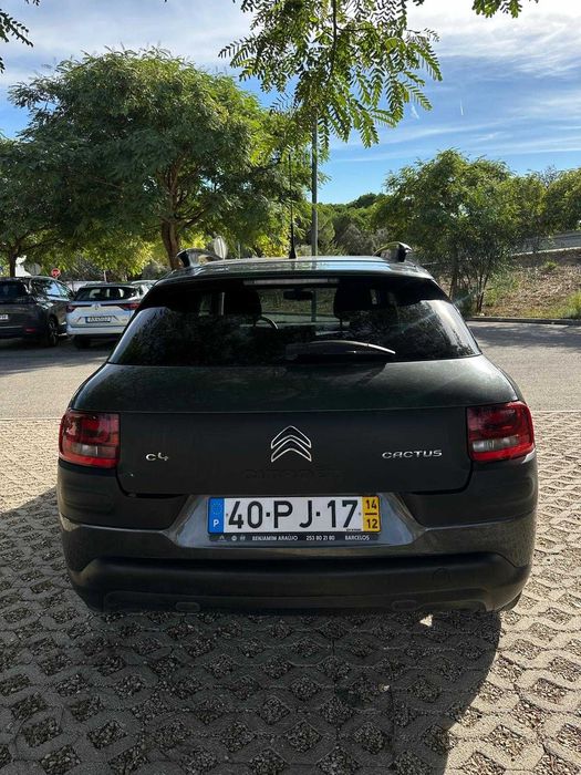 C4 Cactus em excelente estado | Revisões na marca | Pronto a andar!