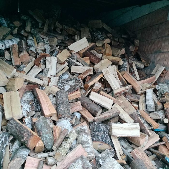 Suche drzewo rąbanka/gałęziówka brzoza/ Buk