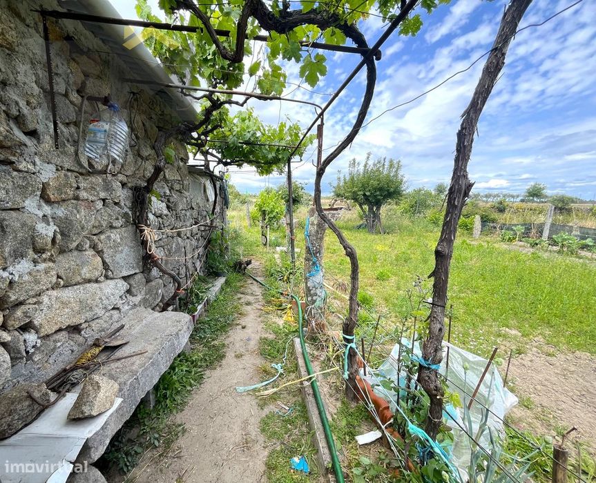 Quinta  Venda em Alcains,Castelo Branco