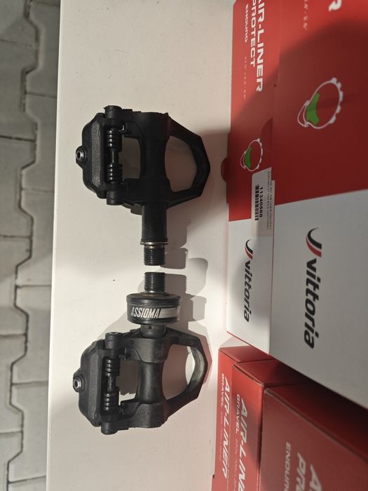 Olympia Leader de 2022