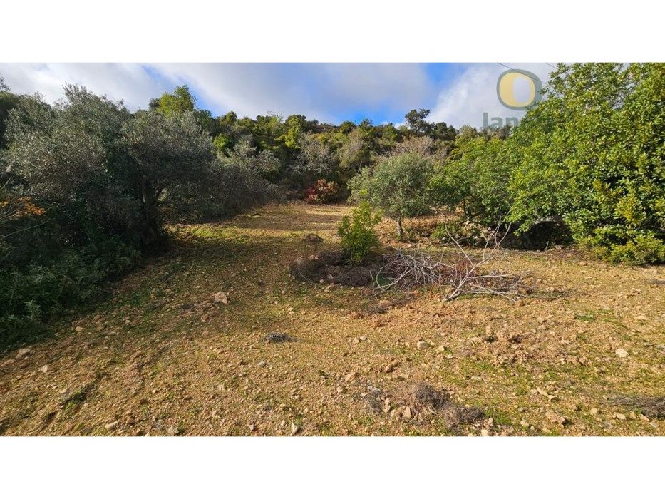 Rustic Land in Estoi with Well