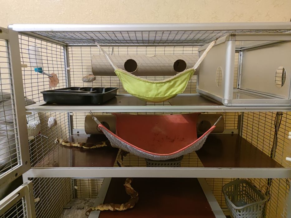 Клітка вольєр для крис, тхорів, шиншил