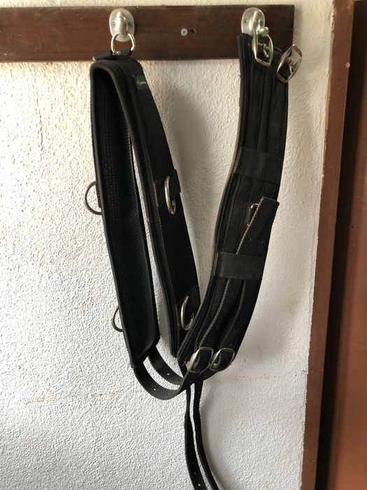 Pelhame de borracha, bridão, estribos, cilha com babete, cilhão